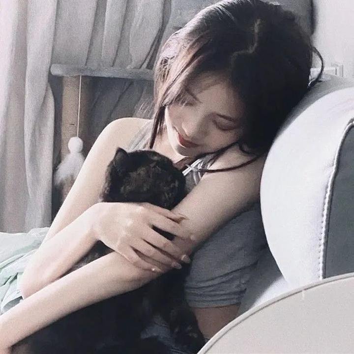 雾的子午线